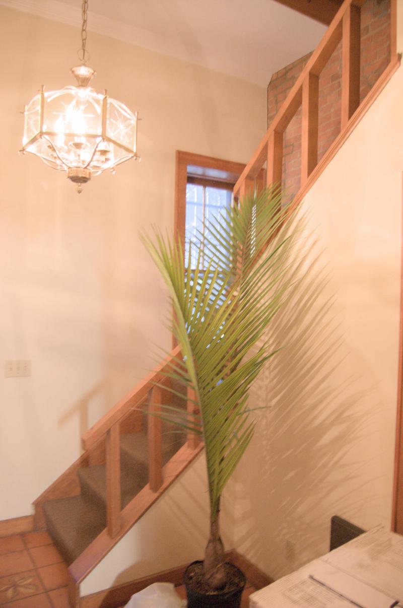 stairs in willett house up to office